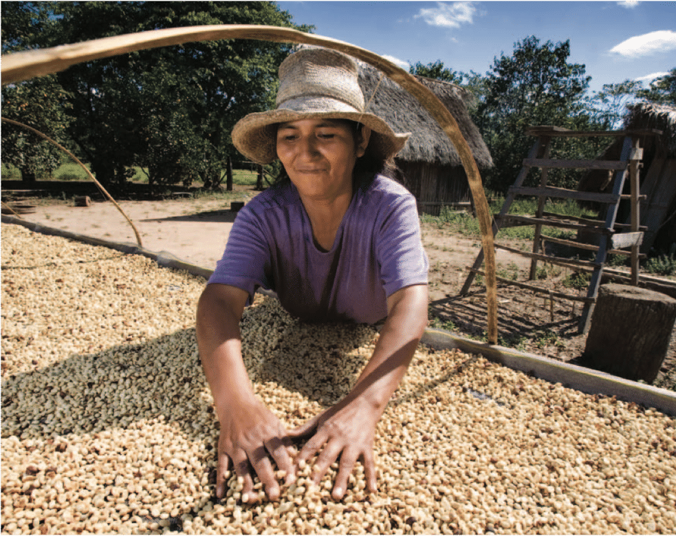 ECOLOGICAL COFFEE PRODUCTION Efico A passion for coffee