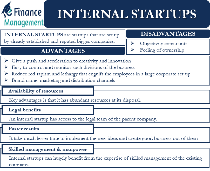 Internal Startups Meaning, Advantages, Disadvantages eFM