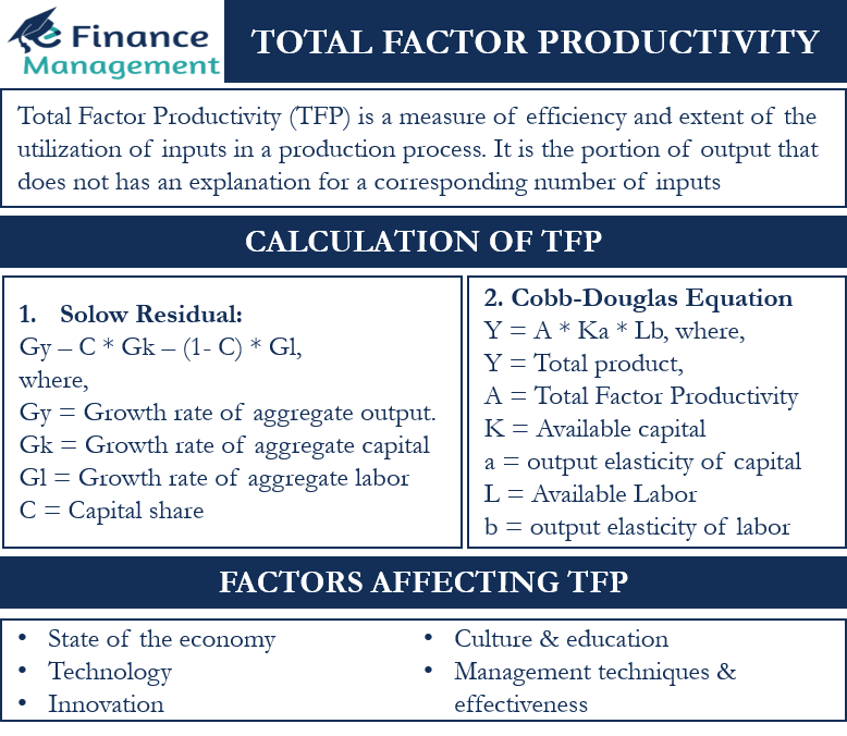Total Factor Productivity Meaning, Calculation, Example & Factors
