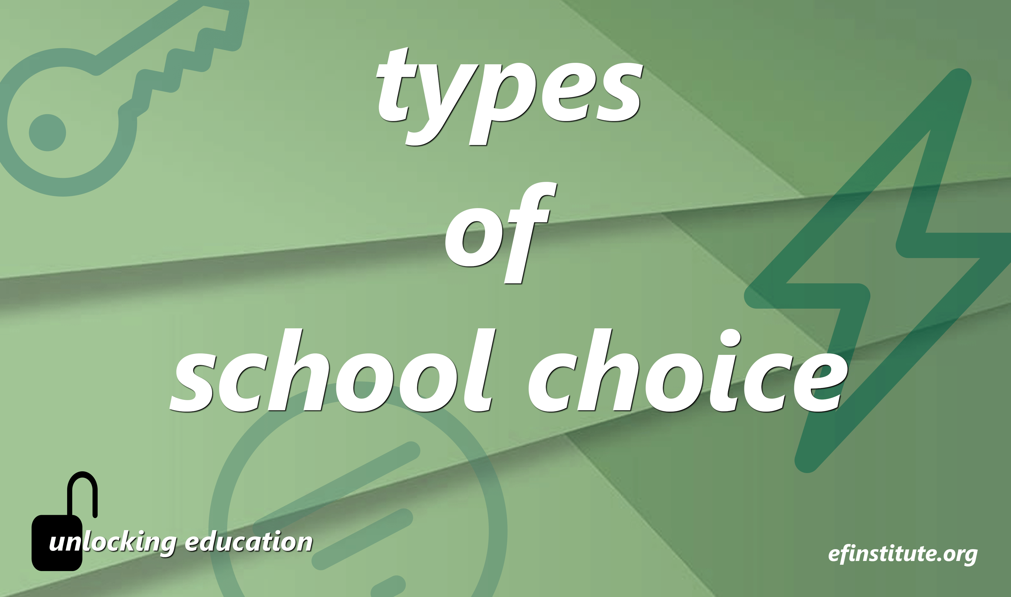 types of school choice educational freedom institute