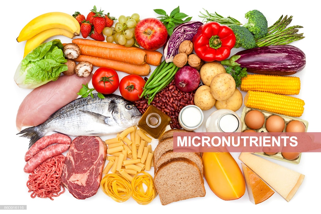 MICRONUTRIENTS EFitnessHelp