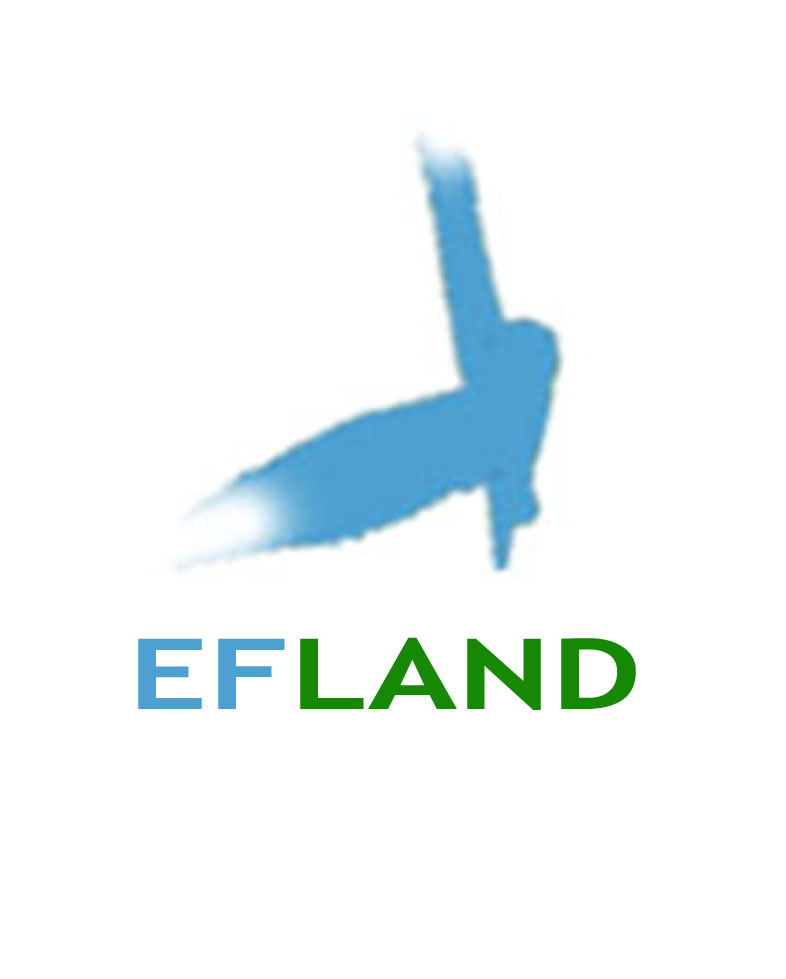 Servicios para la edificación Efland Servicios para la edificación