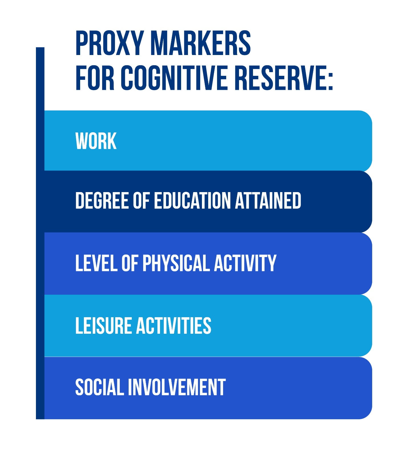 What is the impact of early life on brain and cognitive reserve? • EFNR