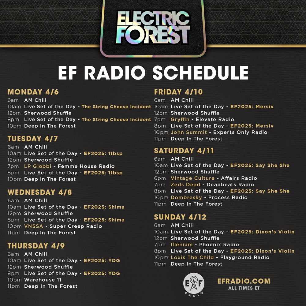 Electric Forest Rothbury, MI Electric Forest Rothbury, MI