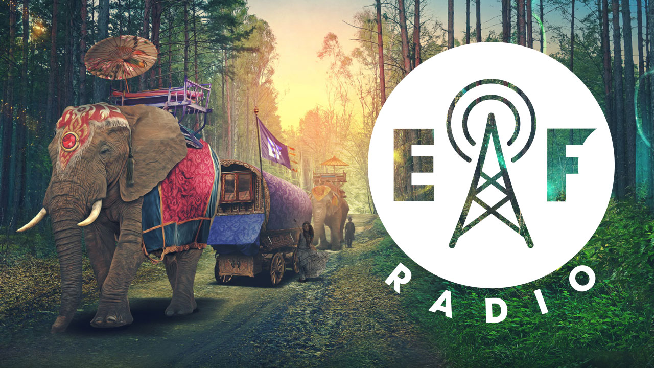 Electric Forest Radio Forest Family Community Radio
