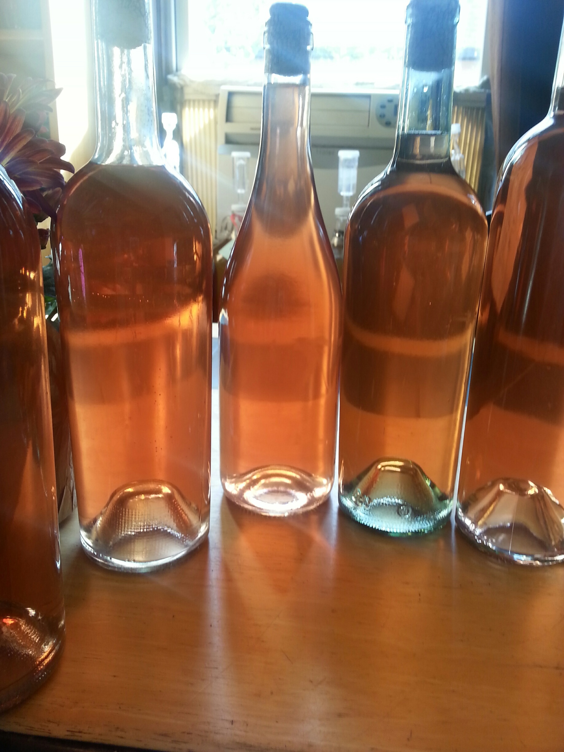 Red currant wine efrank5