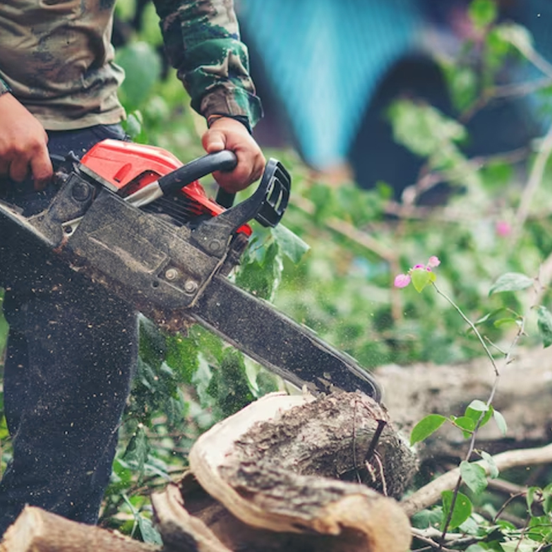 Tree Services Efren Duarte Landscape Inc