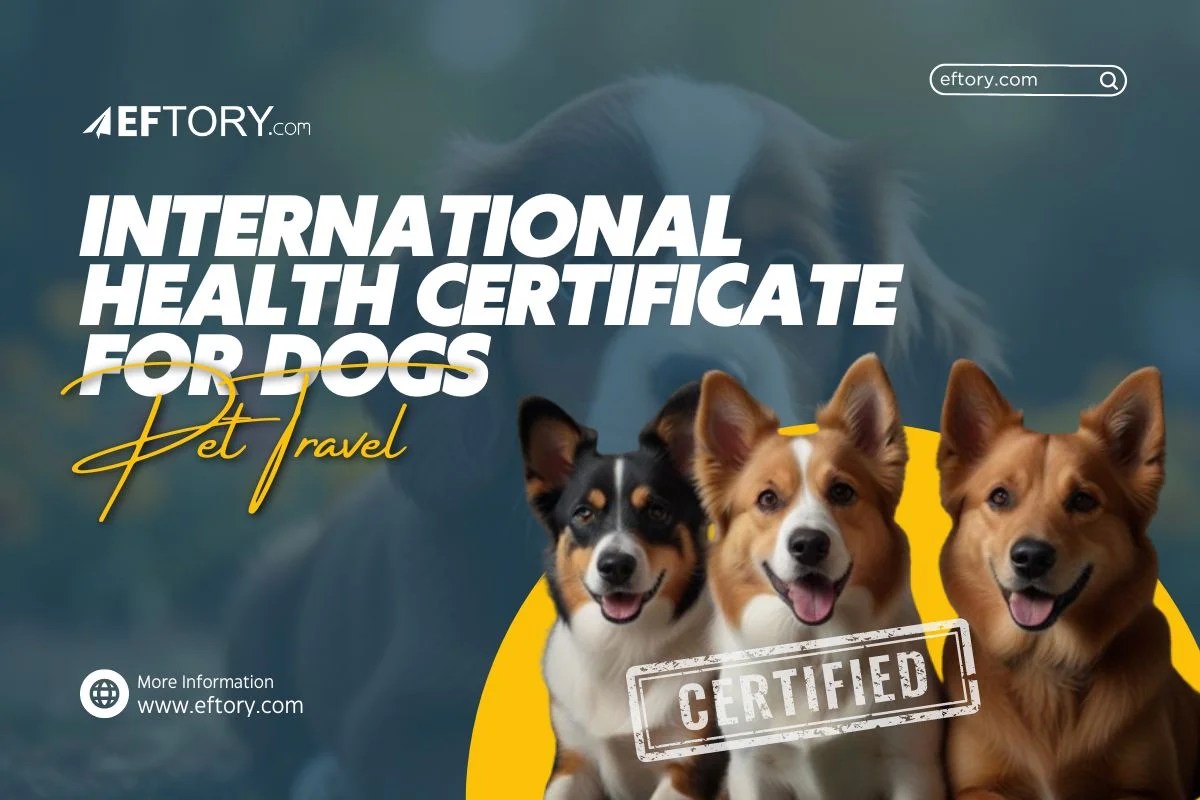 International Health Certificate for Dogs (May 2024)