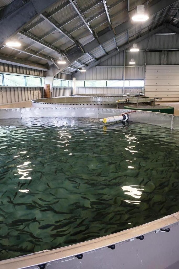 Roxbury Fish Culture Station E.F. Wall & Assoc. Inc.