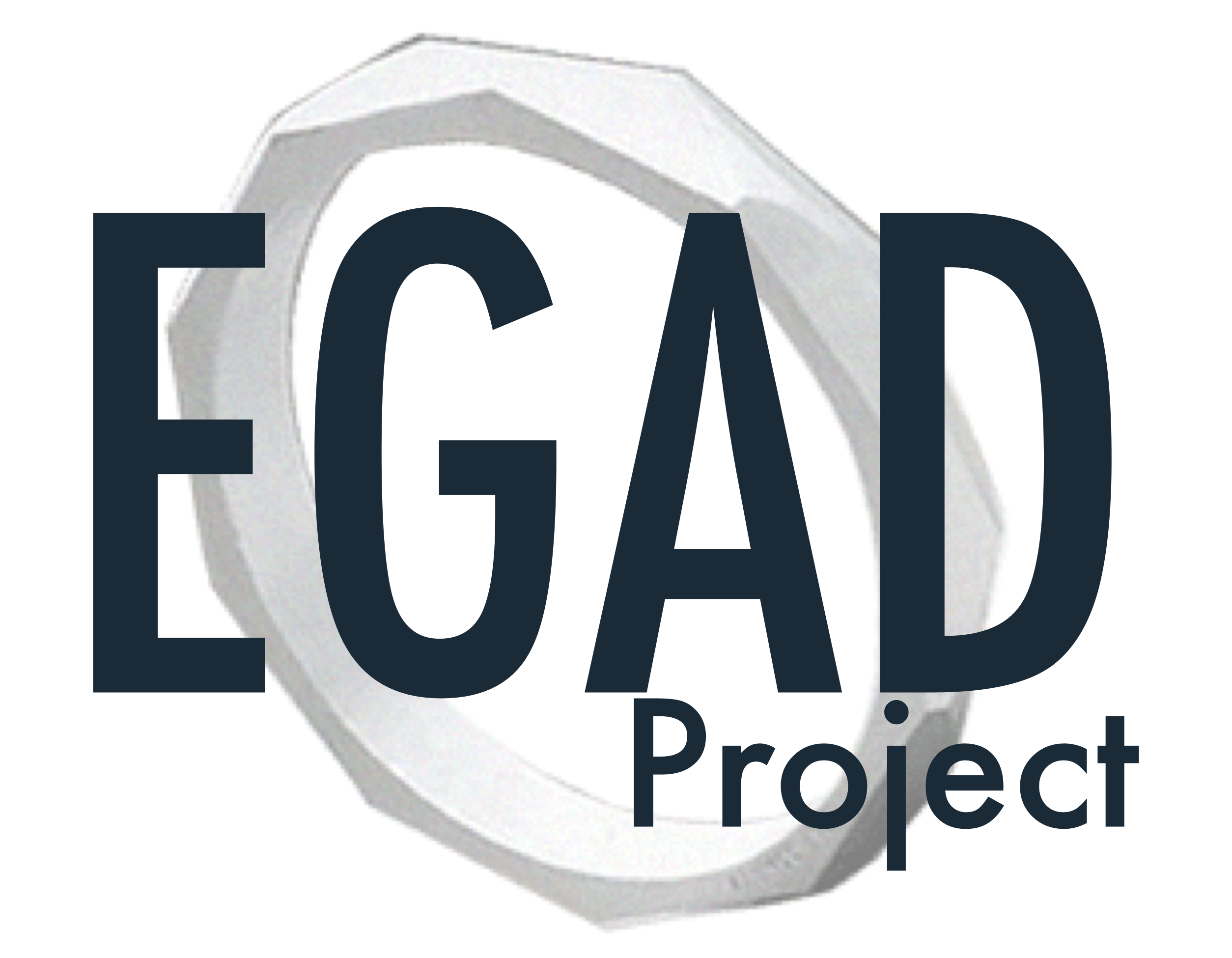 EGAD Project Workshops | The EGAD Project