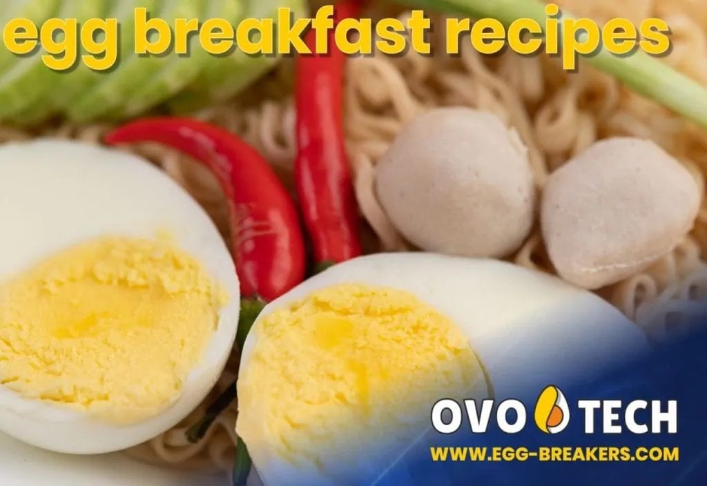 Easy egg breakfast recipes Egg breakers, egg centrifuges, egg washers