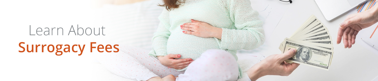 Surrogacy Fees Reproductive Health Clinic California Egg Donor