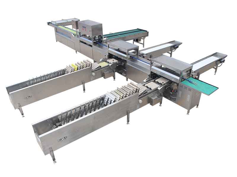 Egg Grader Egg grading machines 104A