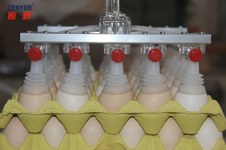 Vacuum Egg Lifter 30 Eggs Egg Handling System