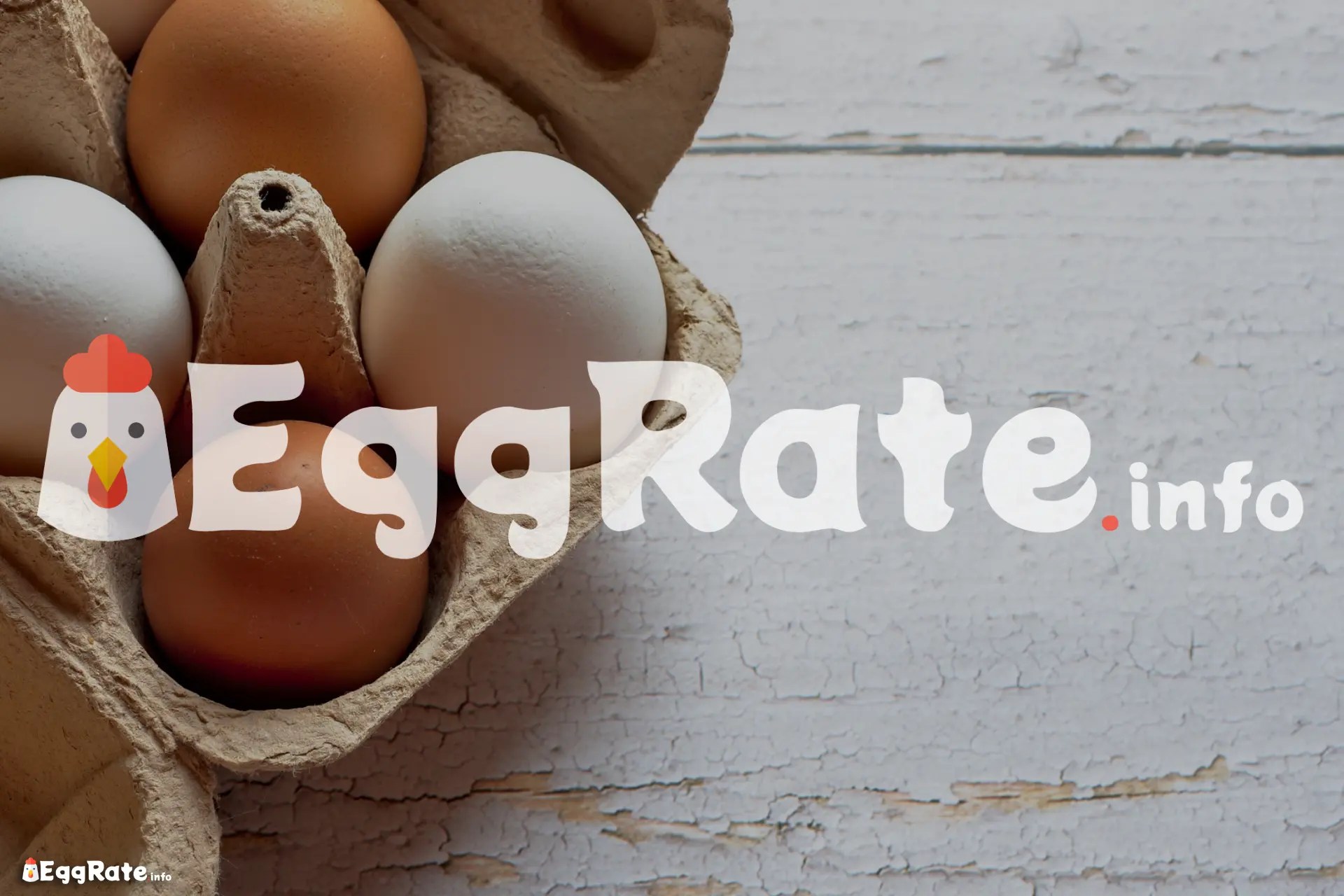 Today NECC Egg Rate in India EggRate.info