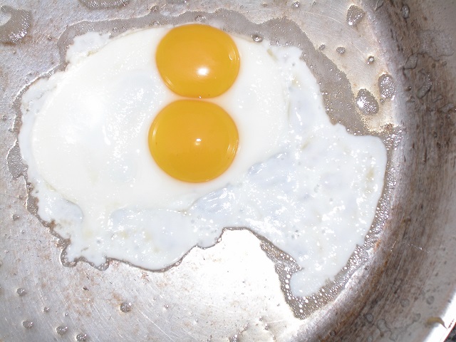 Double yolks What do they mean and are they safe? Egg Safety Center