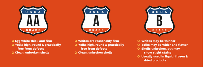 The USDA Grade on Egg Cartons What Does It Mean? Egg Safety Center