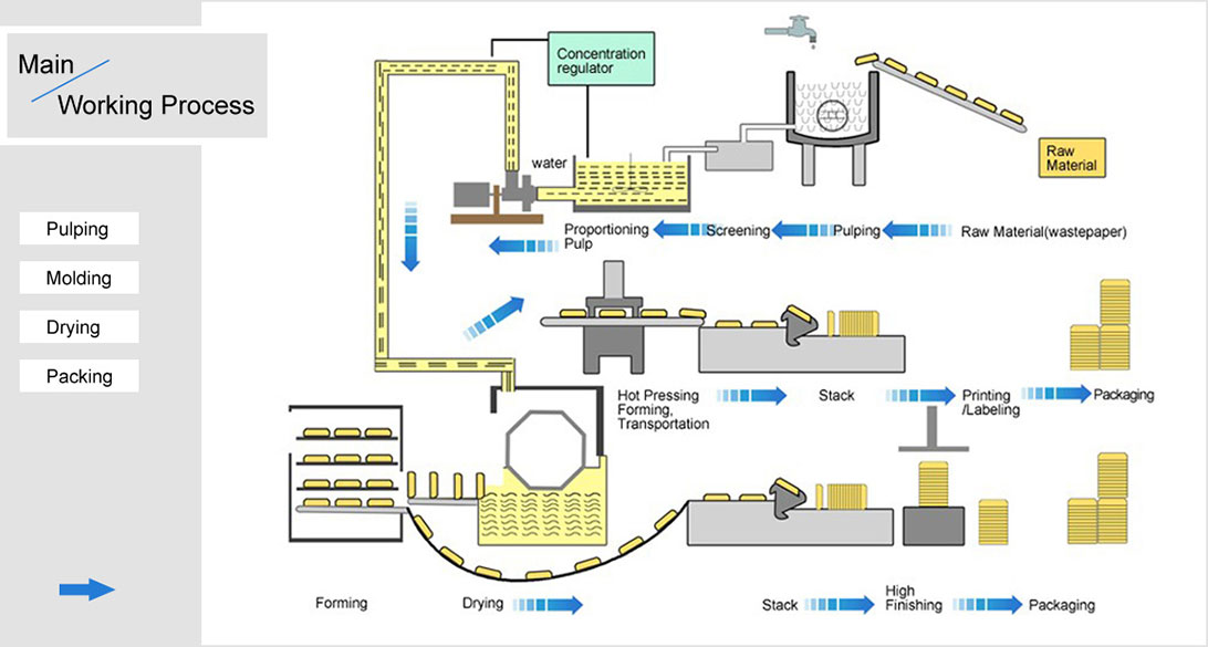 Egg Tray Machine Turn Waste Paper Into Paper Egg Trays