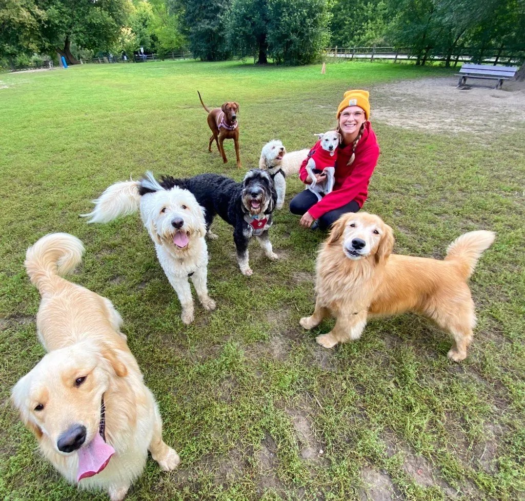 Eglinton Dog Walker Elevate your dog's adventure!