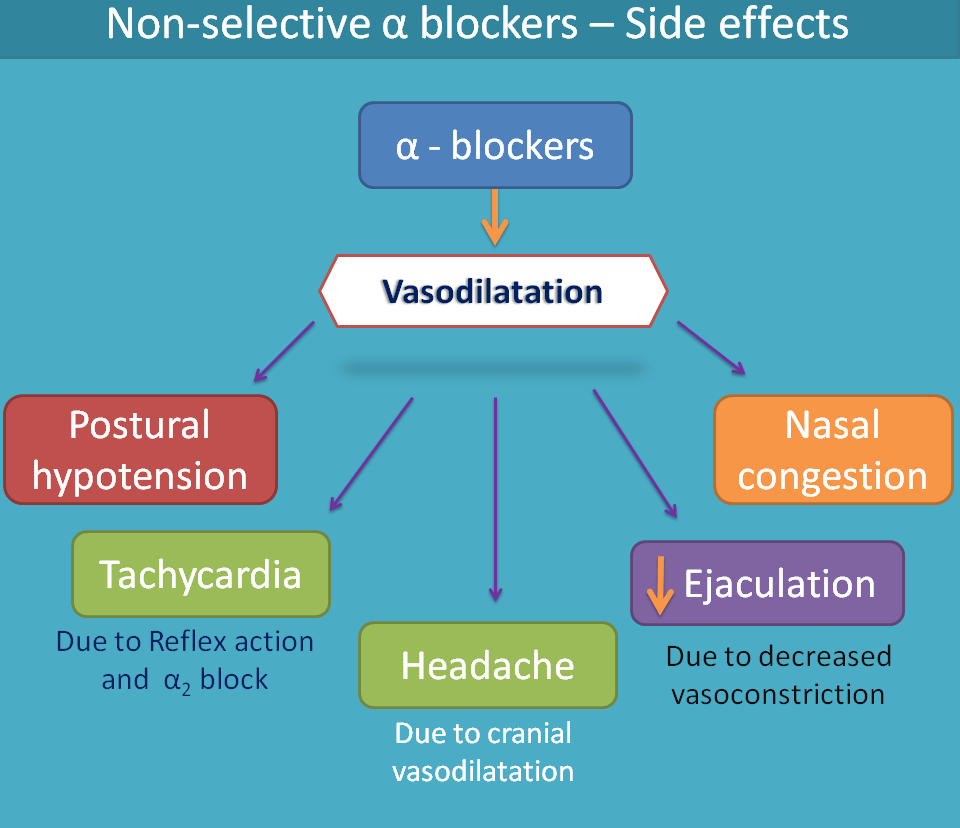 Alpha Adrenergic Blockers List