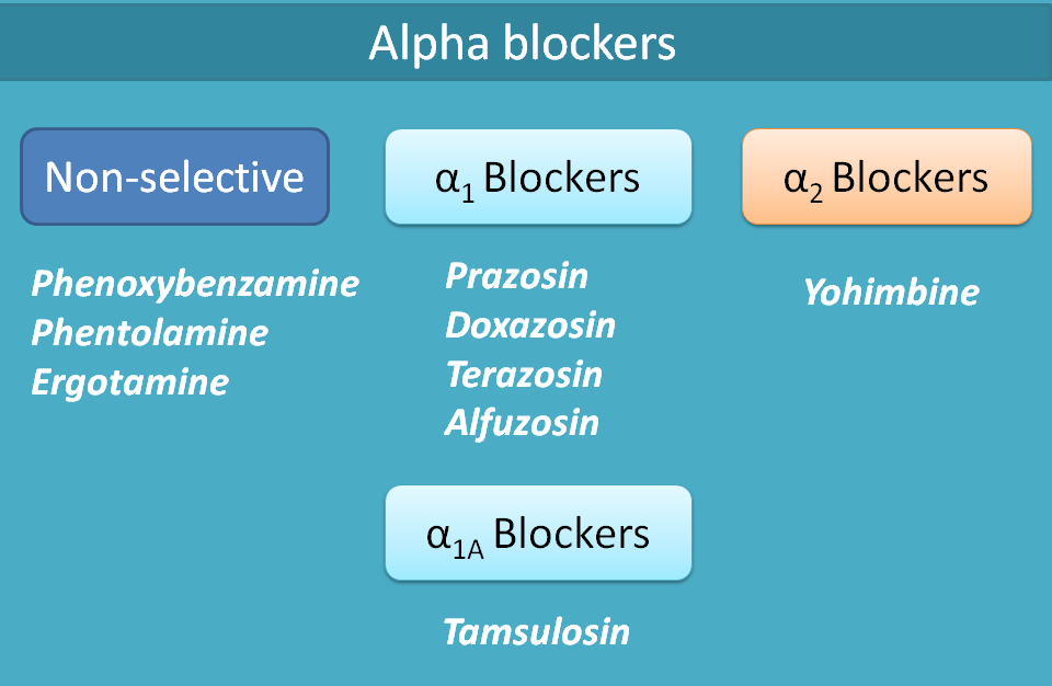 Classification of adrenergic antagonists