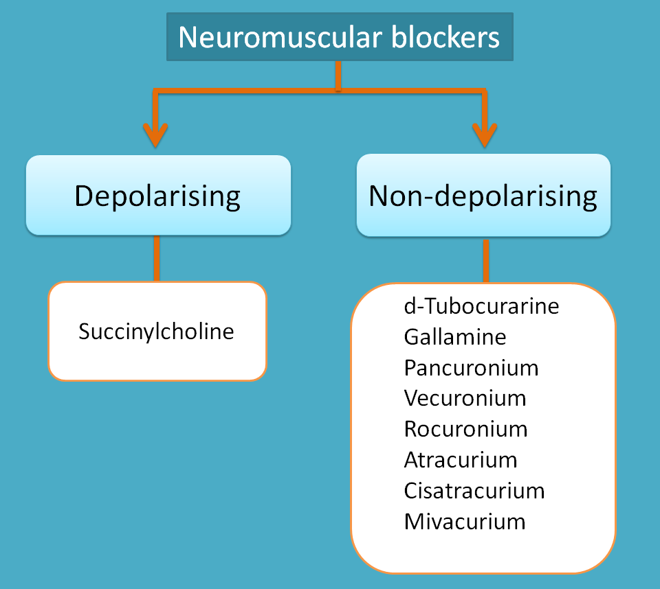 Classification of cholinergic antagonists