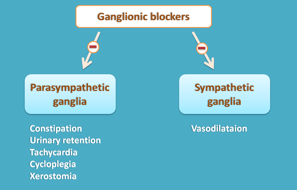 Ganglionic blockers