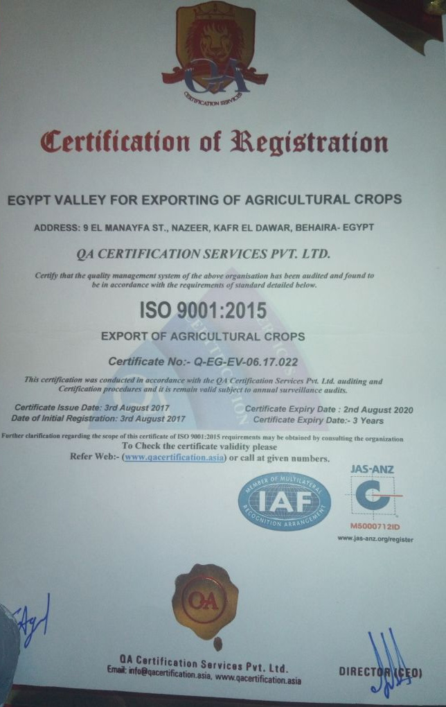 certificate1 Egypt Valley Company