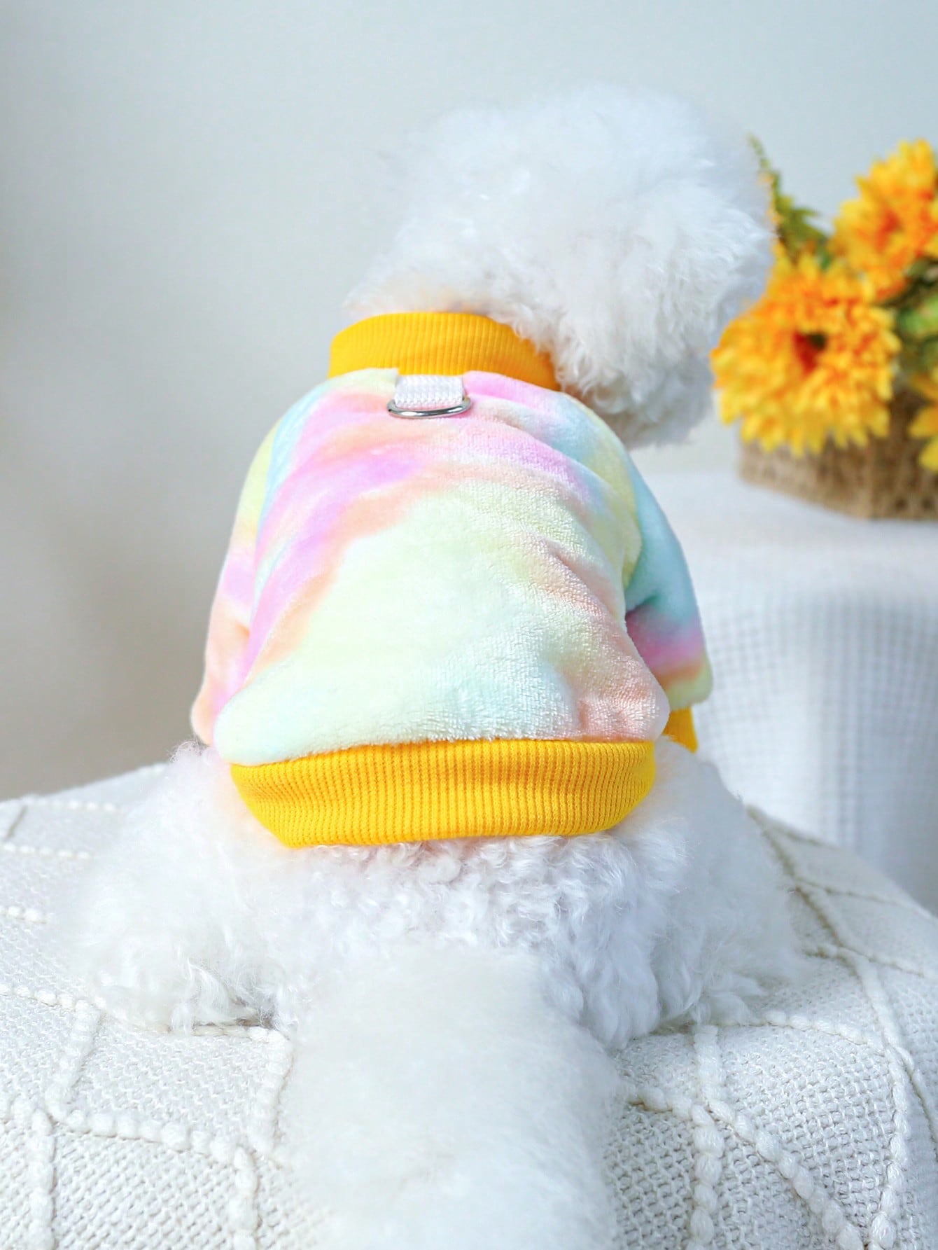 Tiedye Hoodie For Dogs EgyPuppy Pet Shop Online