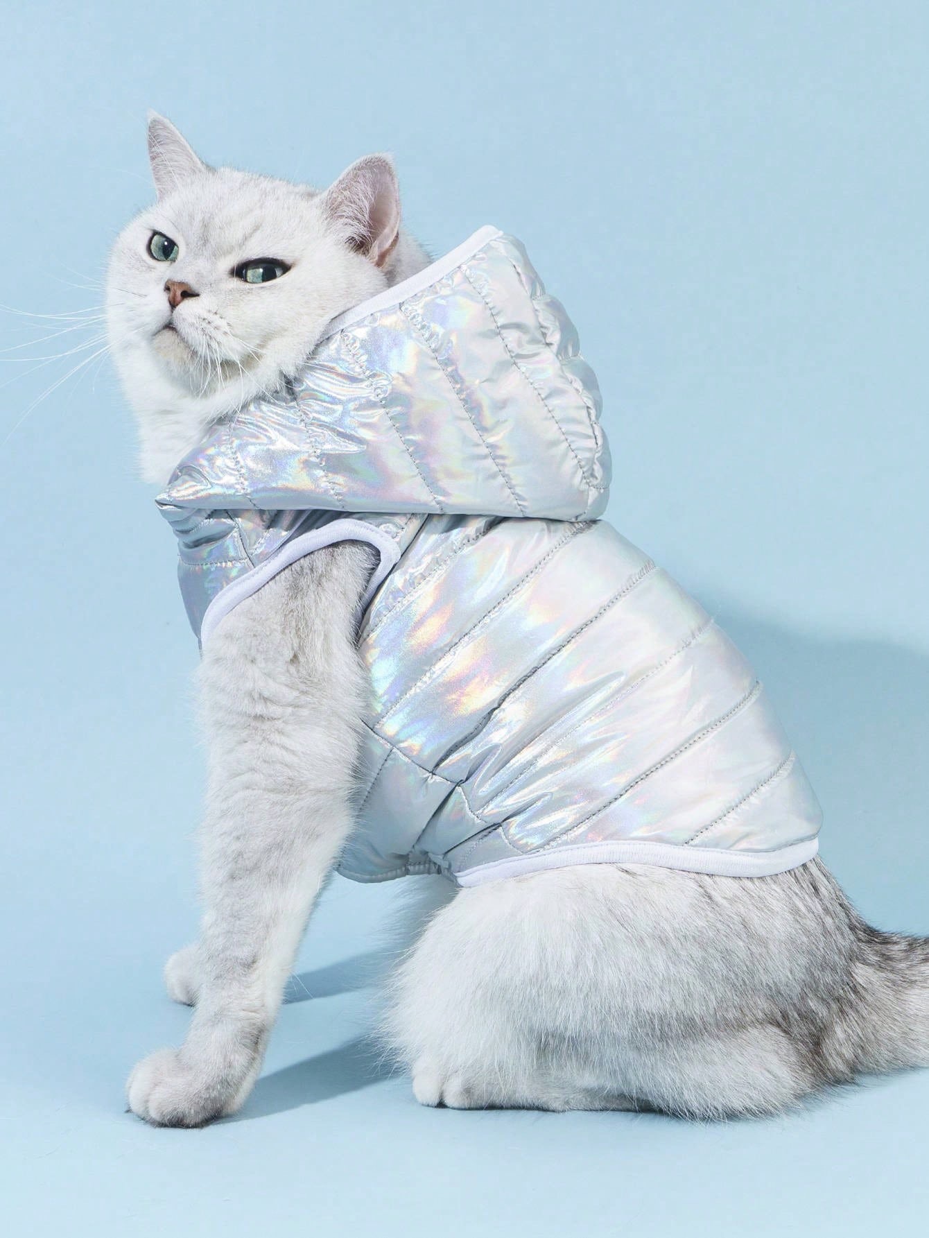 Silver Jacket For Cats & Dogs EgyPuppy Pet Shop Online
