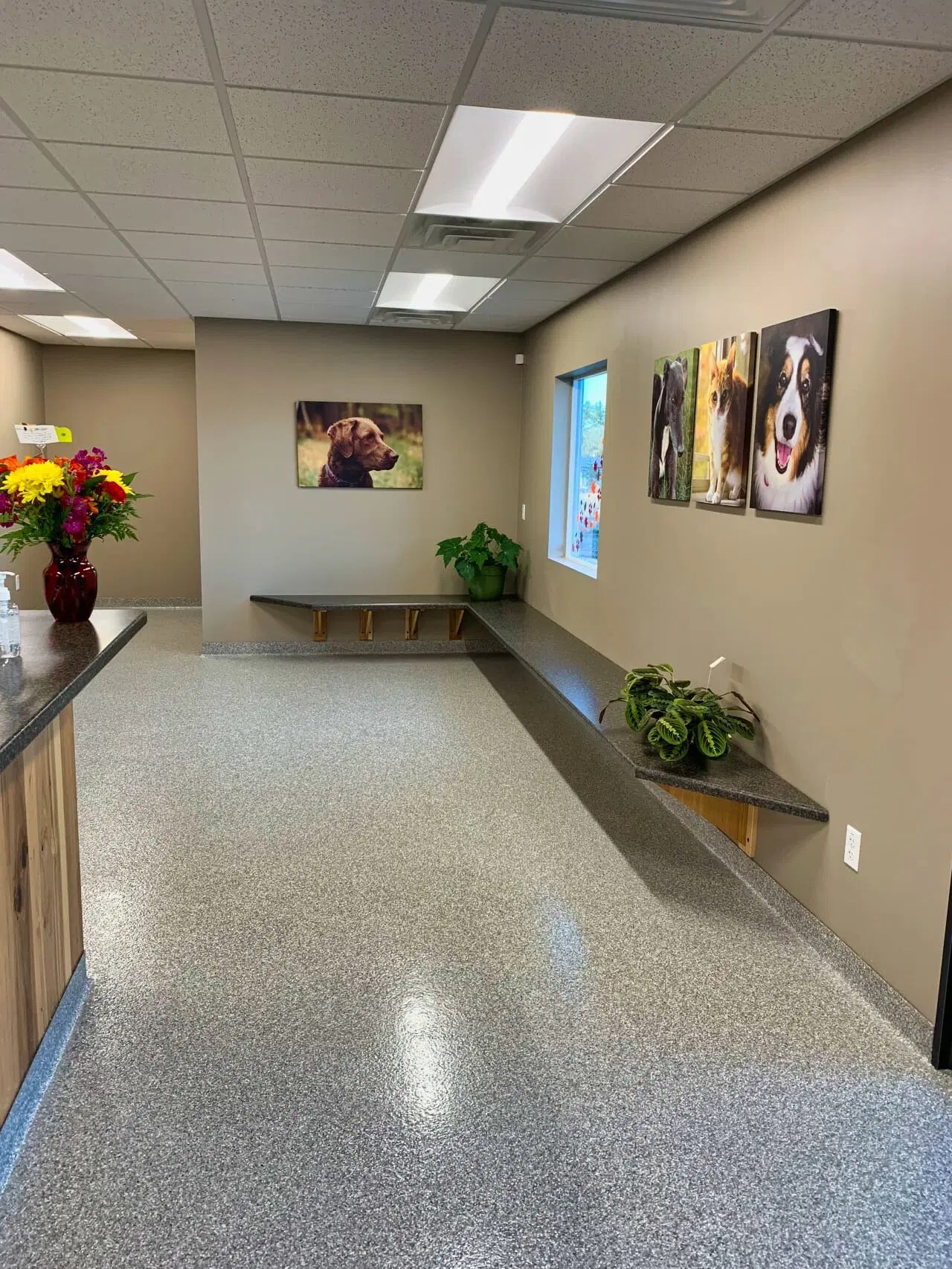 Clinic Picture Tour Northern Veterinary Clinic