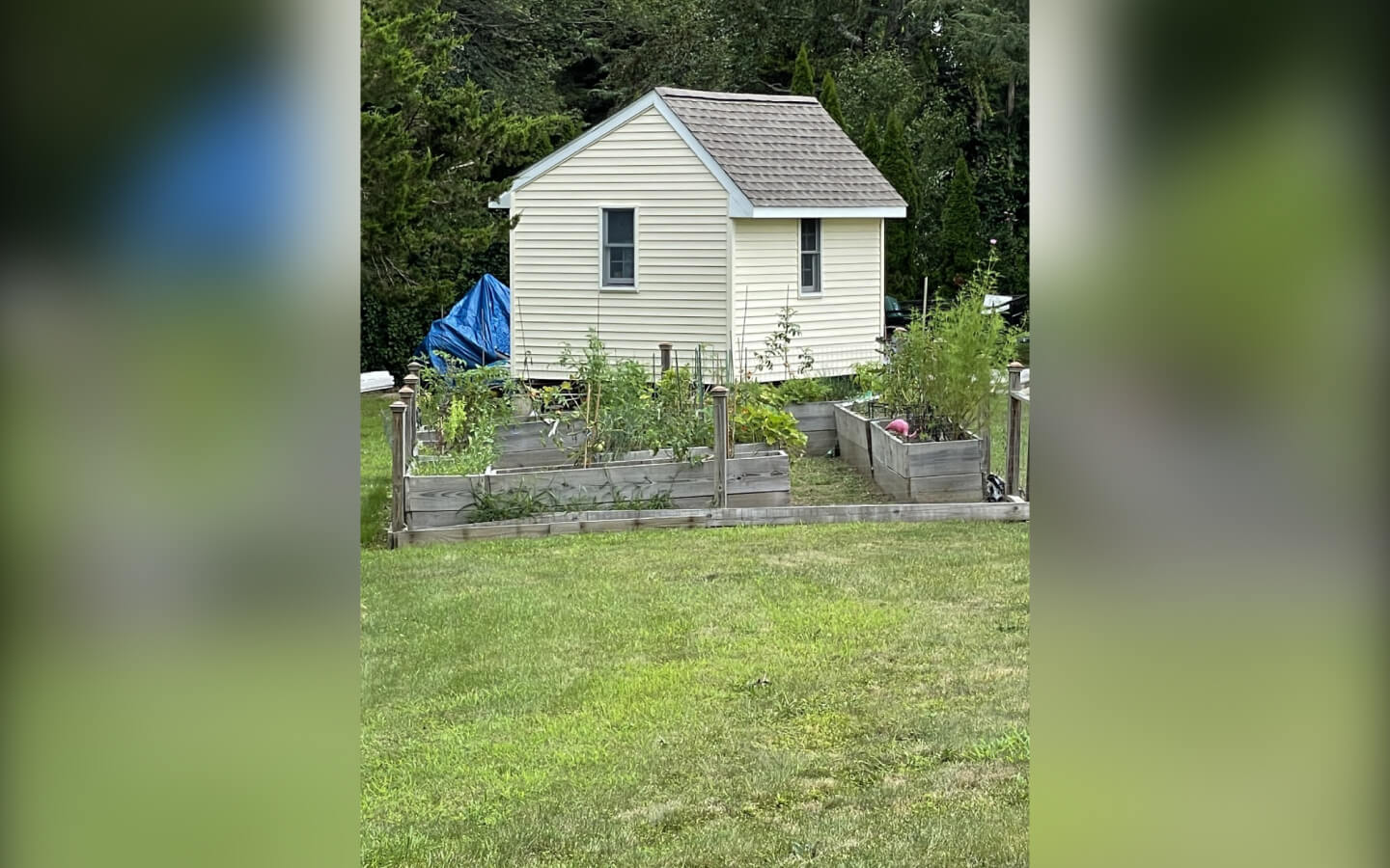 Stonington Arms Housing For Seniors Pawcatuck CT EHDOC