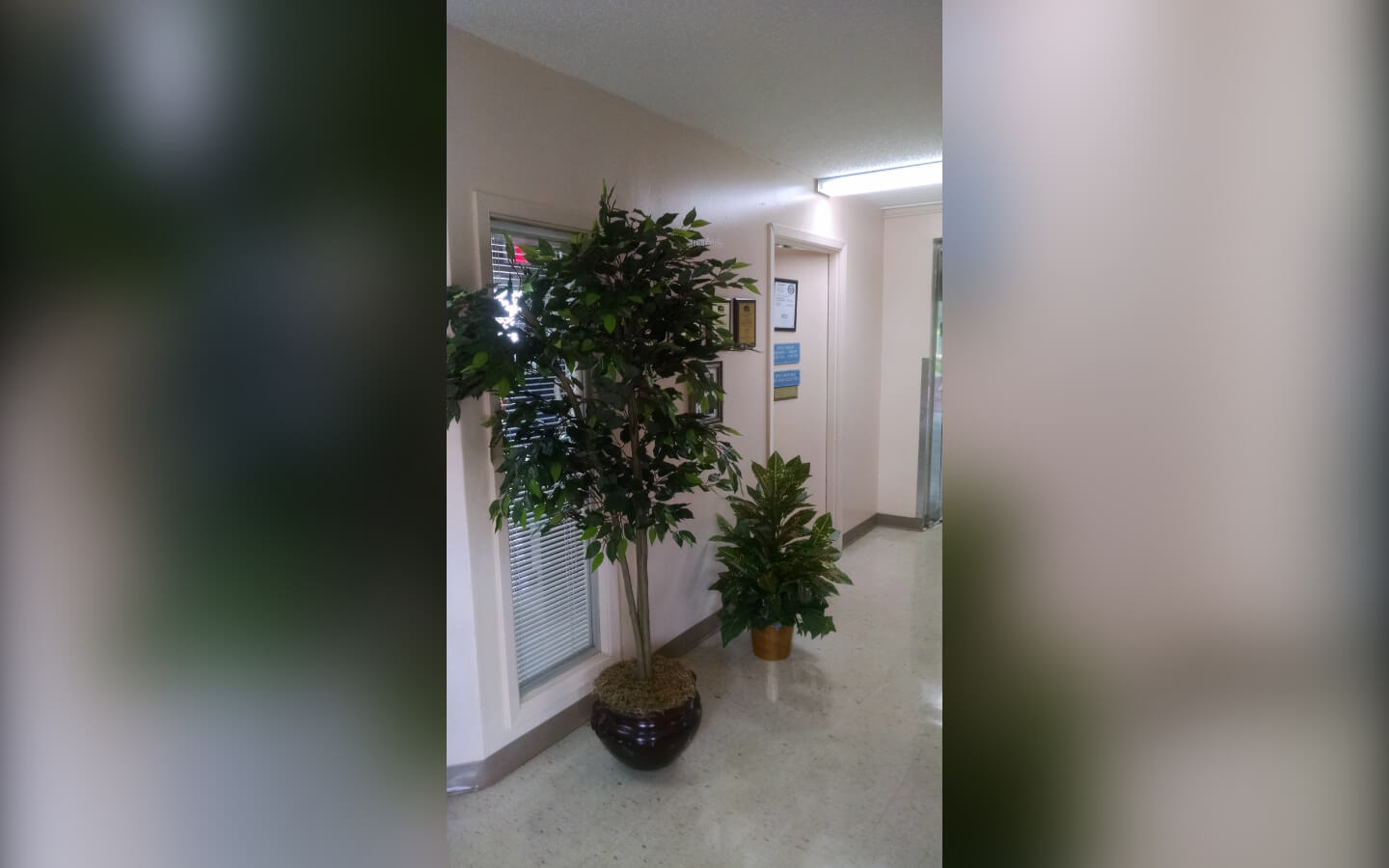 Savoy Heights Apartments Housing For Seniors Mamou LA