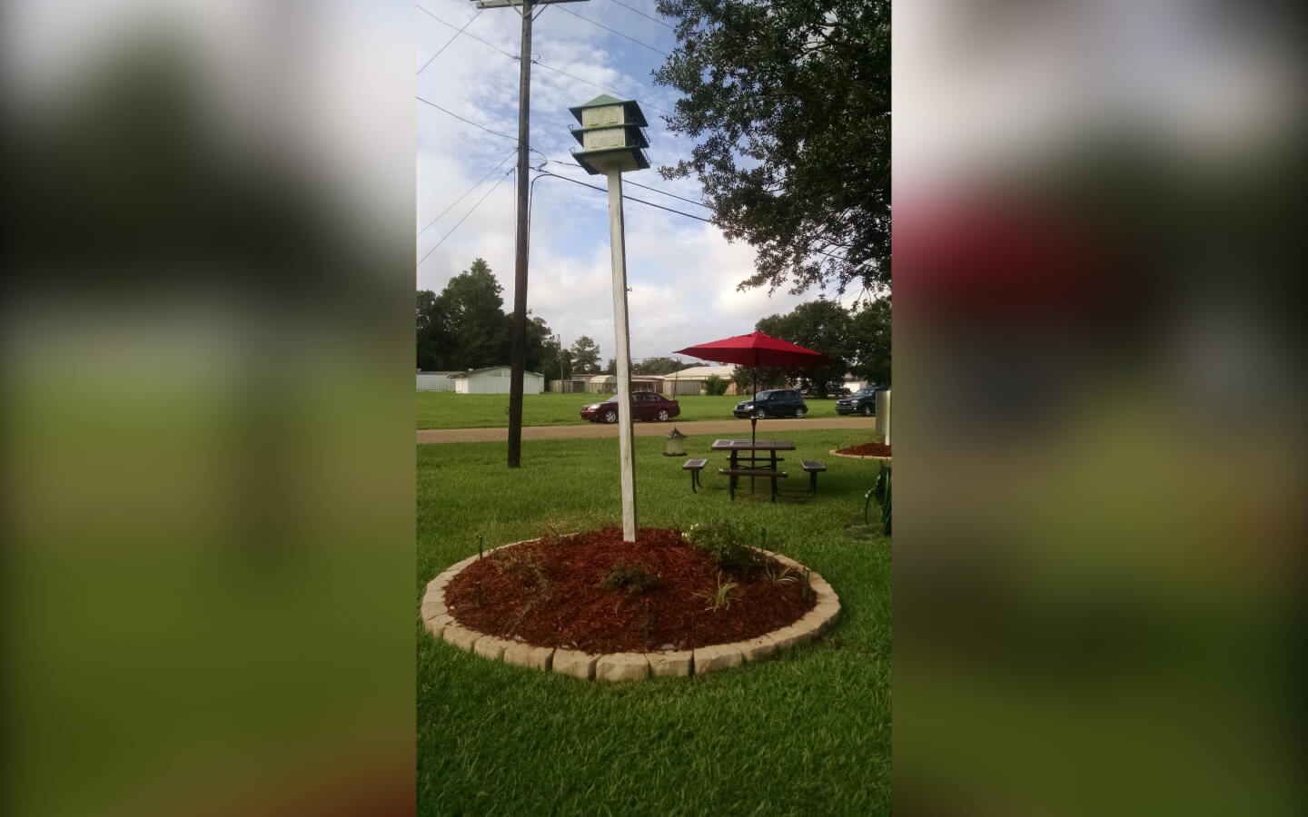 Savoy Heights Apartments Housing For Seniors Mamou LA