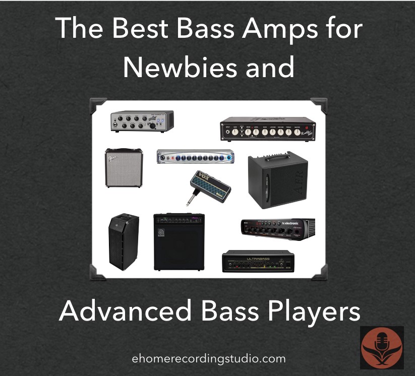 Bass Amps 101 The Ultimate Buyer's Guide 🎸 2022