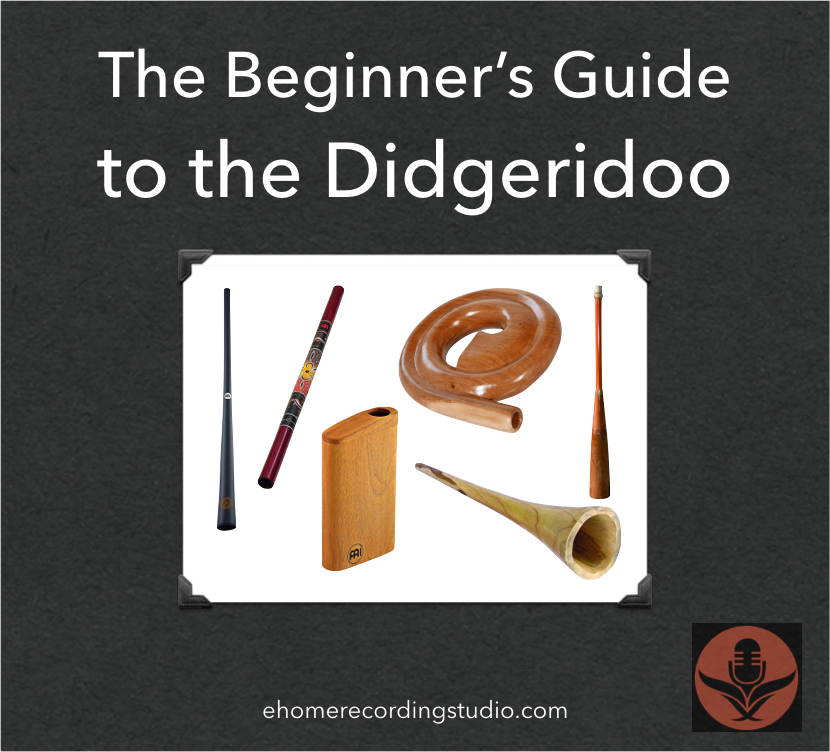 Didgeridoos 101 The Ultimate Buyer's Guide for Musicians