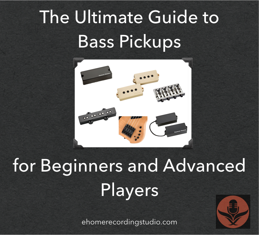 Bass Pickups 101 The Ultimate Buyer's Guide 🎸 2023