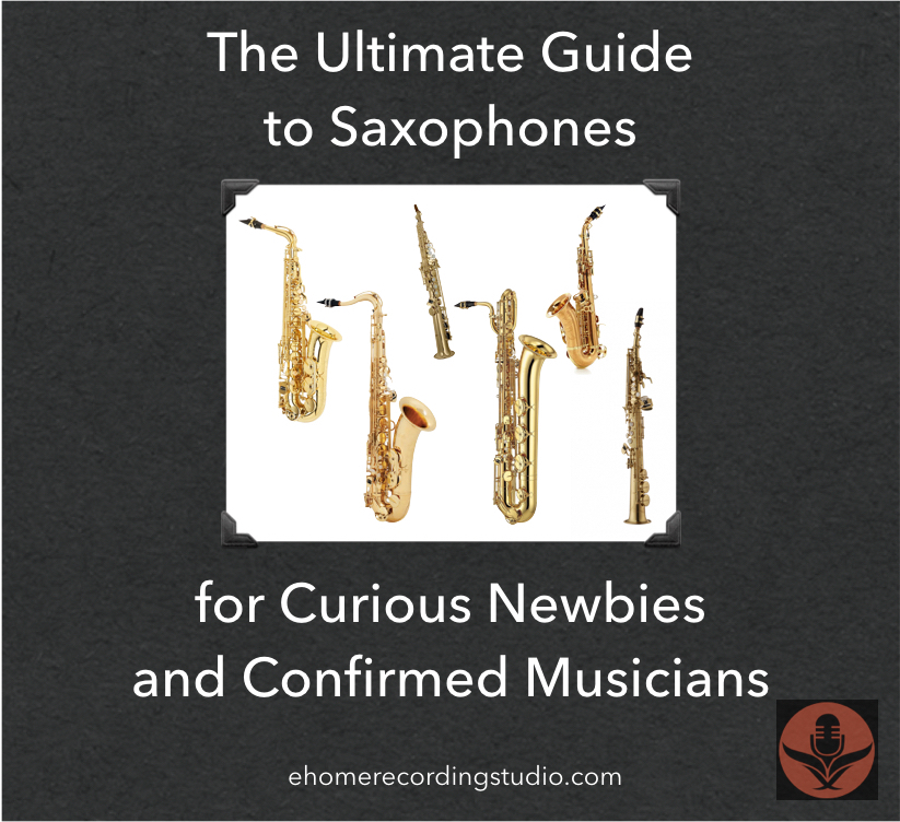 Saxophones 101 The Ultimate Musician's Guide 🎷