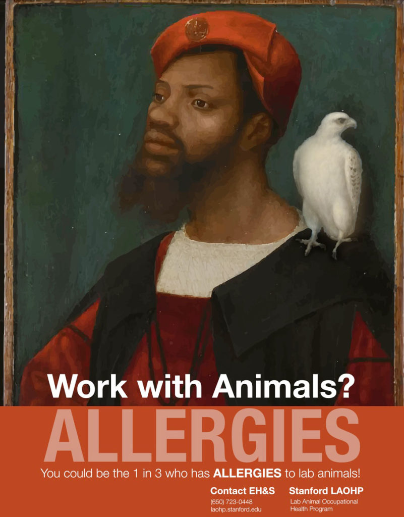Animal Allergy Bird Poster Stanford Environmental Health & Safety