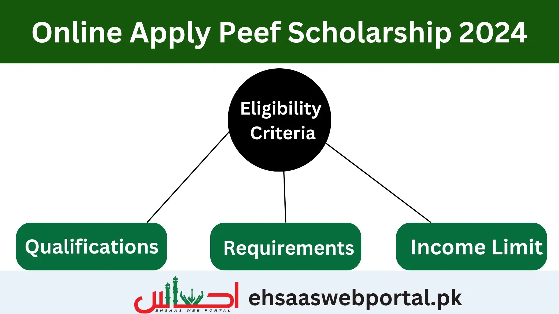 Peef Scholarship 2025 Apply Online Peef Scholarship 2025 Apply Online