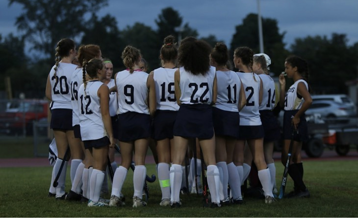 Girls’ Sports Teams Experience Less Support in the Stands The Hive
