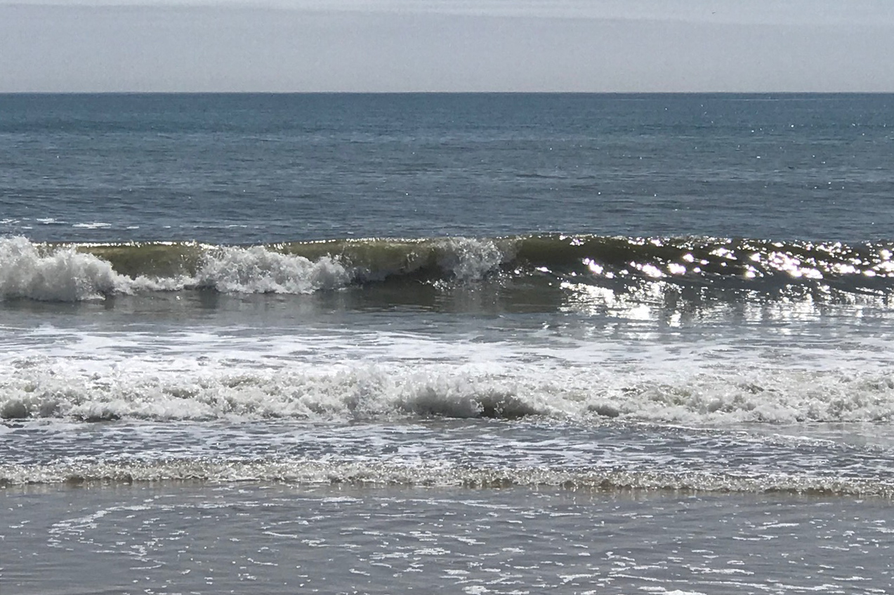 Out Of The Box 2023 Free Events Flagler Beach