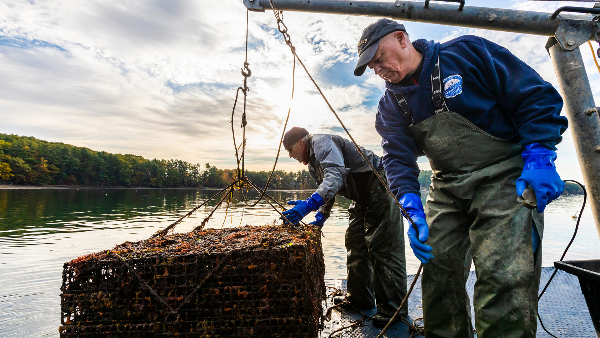 SOAR Supporting Oyster Aquaculture Restoration New Market for