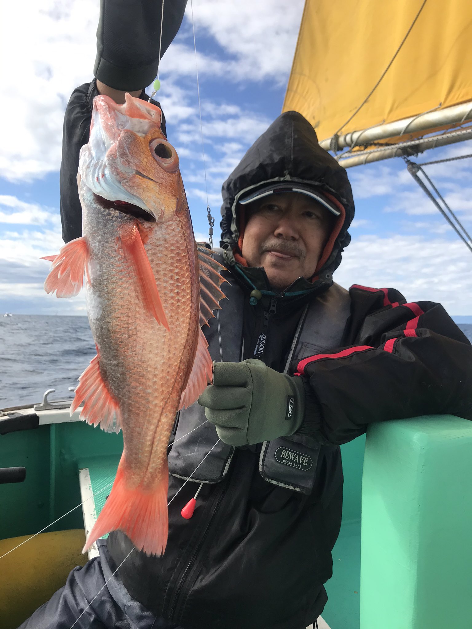 8+ 三崎 港 釣り 2 月 References