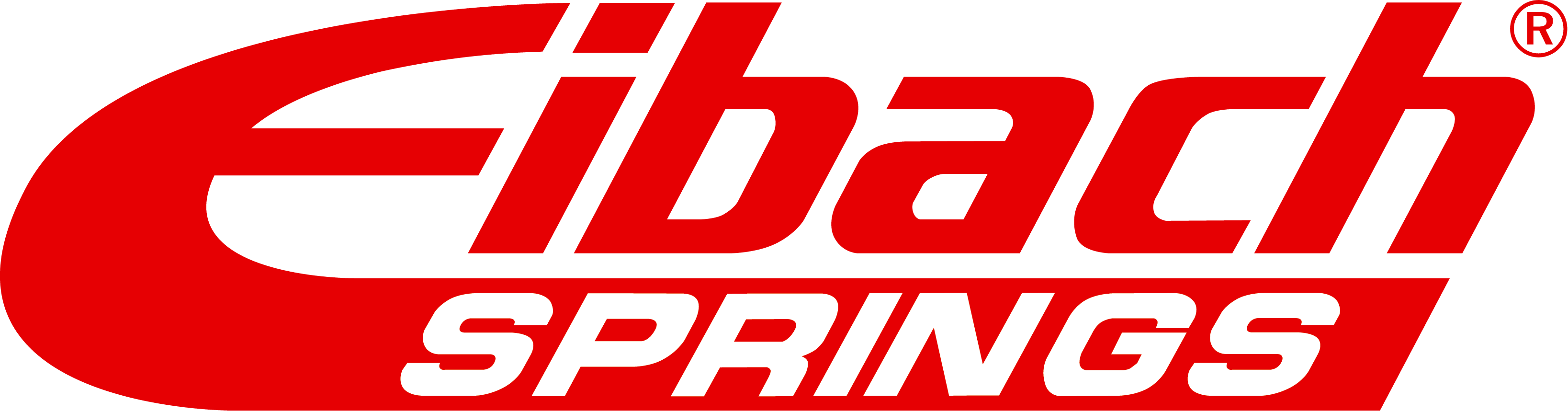 logo_eibach_springs.gif Eibach Springs