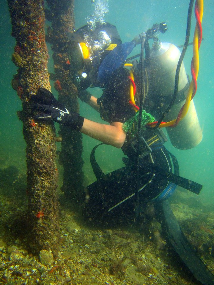 Home Egyptian International Diving School