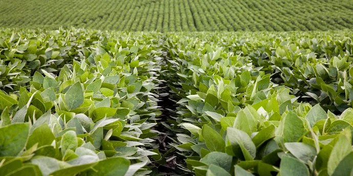 FeXapan ™ Tank Mix Partners Roundup Ready 2 Xtend ® DuPont USA