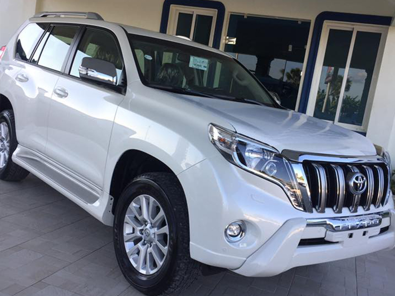 Eight Brother Rent a Car