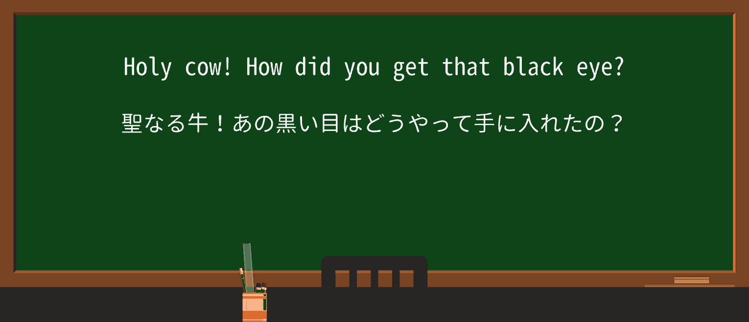 【英単語】holycowを徹底解説！意味、使い方、例文、読み方