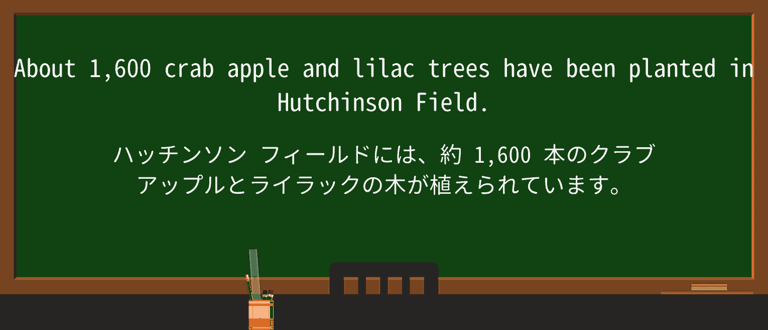 【英単語】crabappleを徹底解説！意味、使い方、例文、読み方